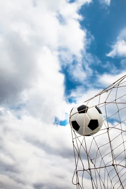 满冠体育APP 功能展示