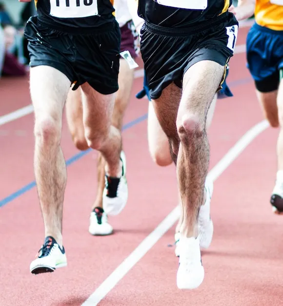 常见问题与使用指引